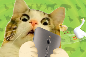 FRIDAY专栏 | 被憋疯的职场人，养起了猪牛羊鱼鸟...